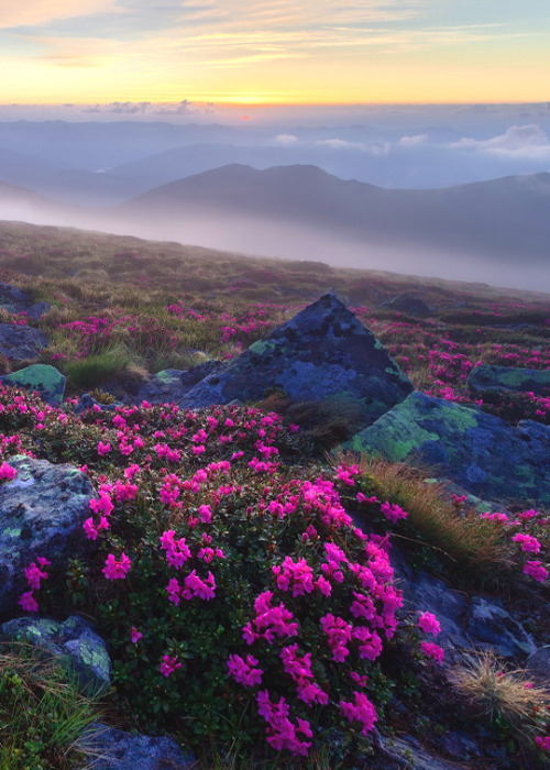 __ by Ярослав Тюрменко (Jaremi)