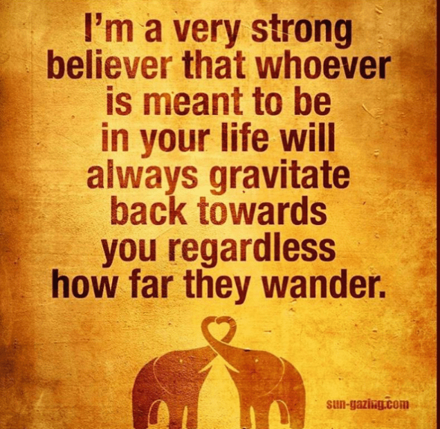 staypositive positive vibe consciousness health healthy yoga yogi life lifestyle happy happiness acceptance heatlh motivation motivated motivating motivationalquotes hardwork workhard attract attraction attracted