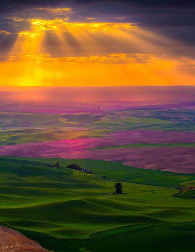Burst Of Light In Beautiful Palouse Region, In The Northwestern United States. Photo by kevin mcneal on Flickr